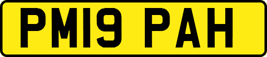 PM19PAH