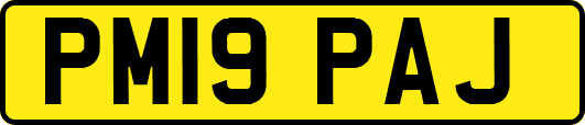 PM19PAJ