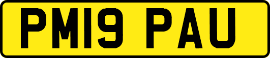 PM19PAU