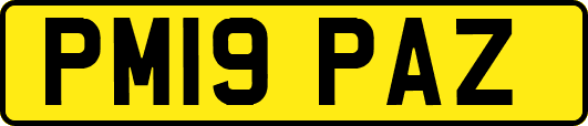 PM19PAZ