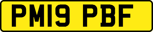 PM19PBF