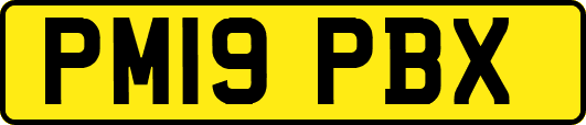 PM19PBX