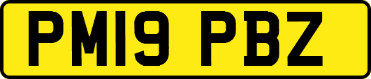 PM19PBZ