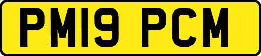 PM19PCM