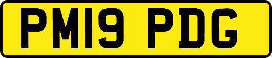 PM19PDG