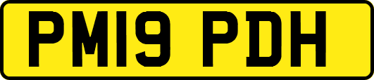 PM19PDH