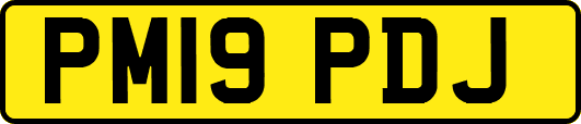 PM19PDJ