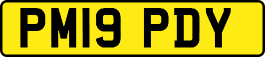 PM19PDY