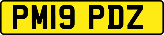 PM19PDZ