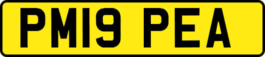 PM19PEA