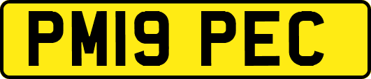 PM19PEC