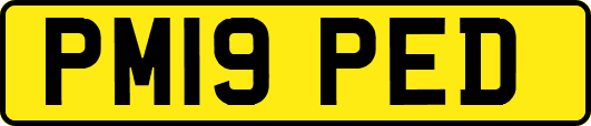 PM19PED