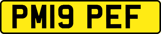 PM19PEF