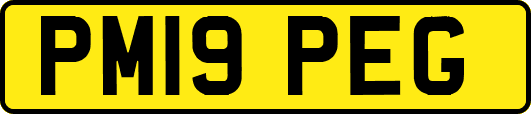 PM19PEG