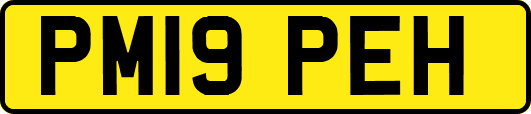 PM19PEH