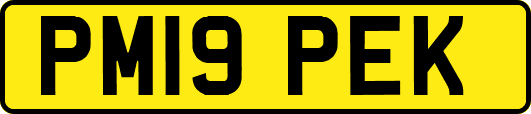 PM19PEK