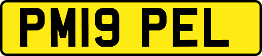 PM19PEL