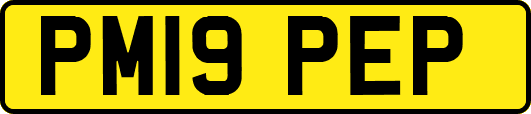 PM19PEP