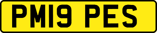 PM19PES