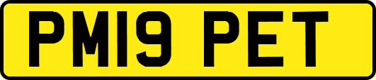 PM19PET