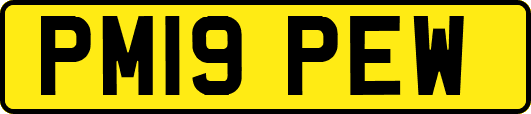 PM19PEW