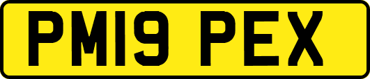 PM19PEX