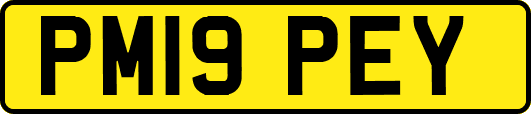 PM19PEY