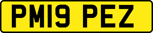 PM19PEZ