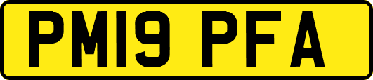 PM19PFA