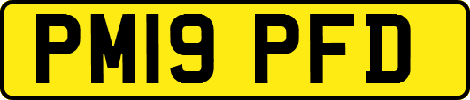 PM19PFD