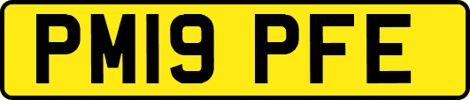 PM19PFE