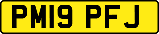 PM19PFJ