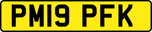 PM19PFK