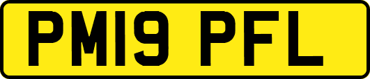 PM19PFL