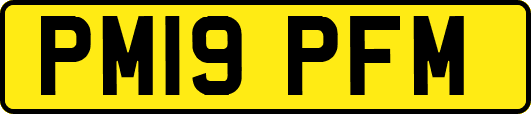 PM19PFM