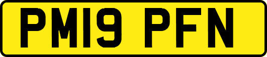 PM19PFN