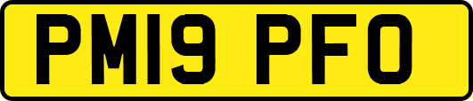 PM19PFO