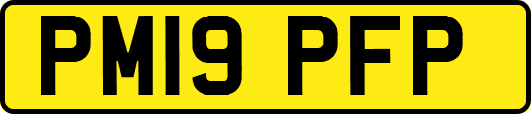 PM19PFP