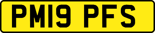 PM19PFS