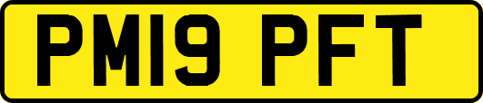 PM19PFT