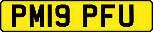 PM19PFU