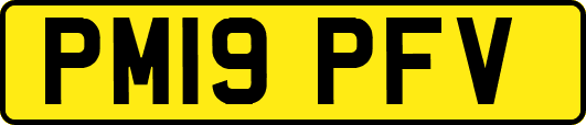 PM19PFV