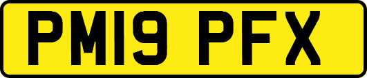 PM19PFX