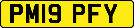 PM19PFY