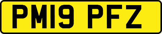 PM19PFZ