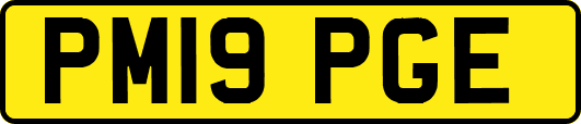 PM19PGE