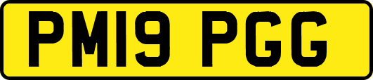 PM19PGG