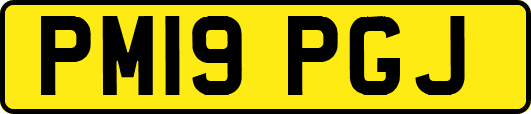 PM19PGJ