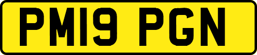 PM19PGN