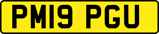 PM19PGU